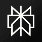 Perplexity - Ask Anything for Android